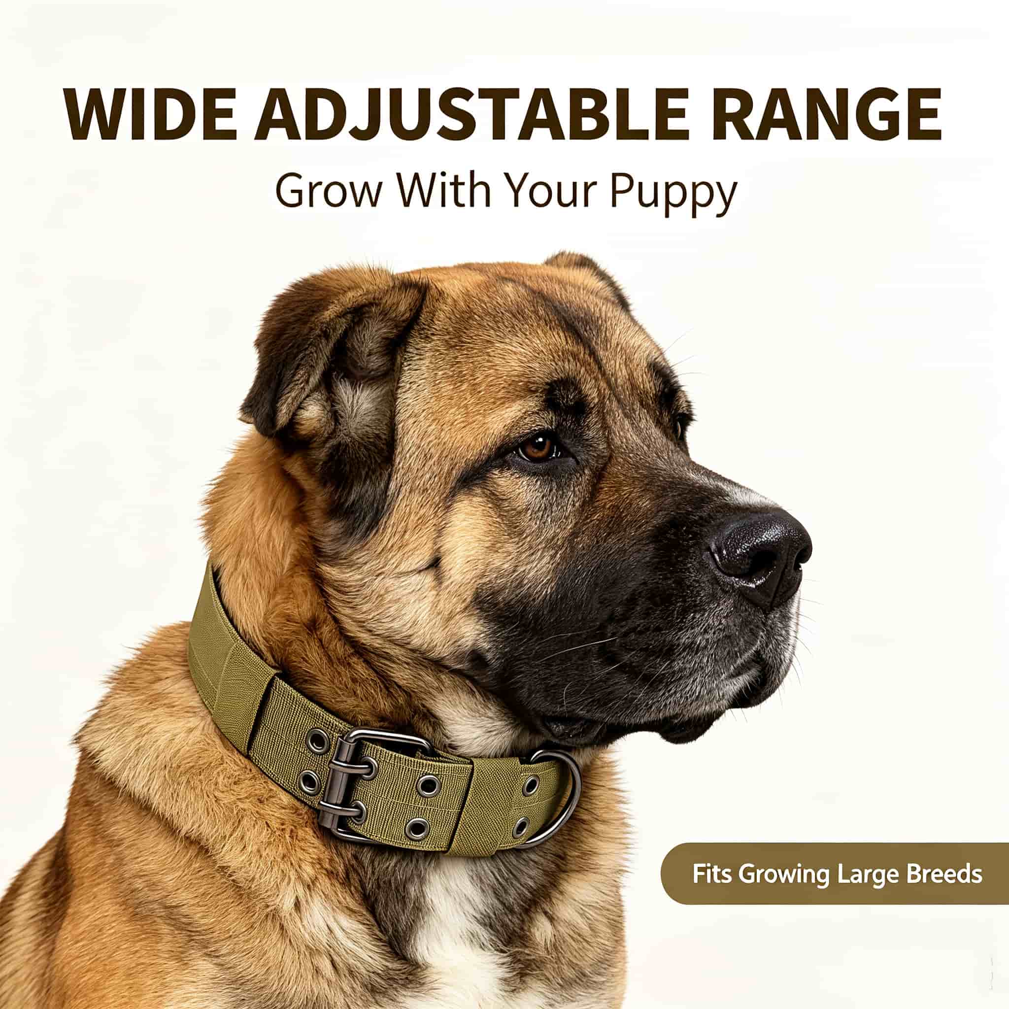 Outdoor Hunting Dog Collar - Collar táctico camuflado para perros, de