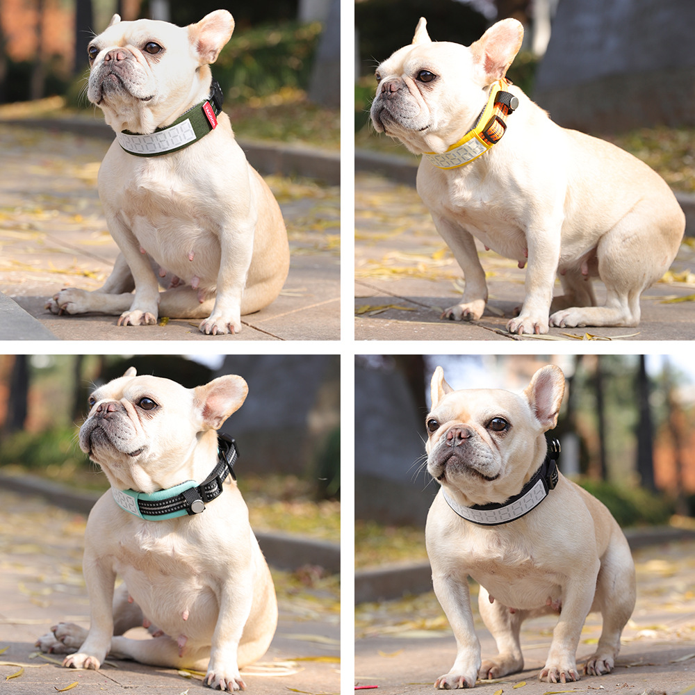 Outdoor Hunting Dog Collar - Collar Reflectante para Perros Grandes, Ajustable,