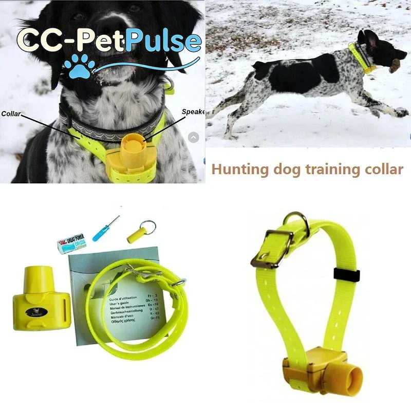 Collares Beeper para Perros de - Outdoor Hunting Dog Collar reseña y precio