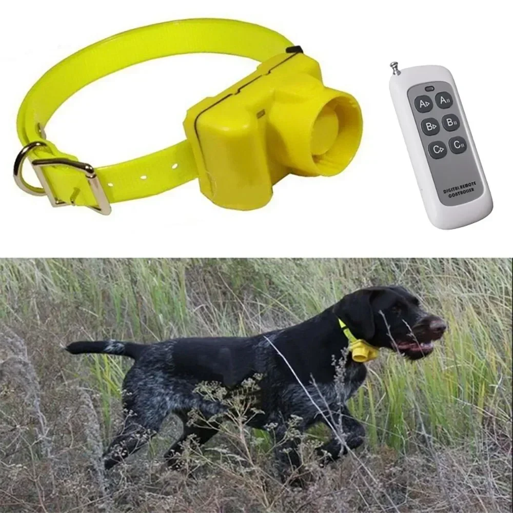 Collares Beeper para Perros de - Outdoor Hunting Dog Collar reseña y precio