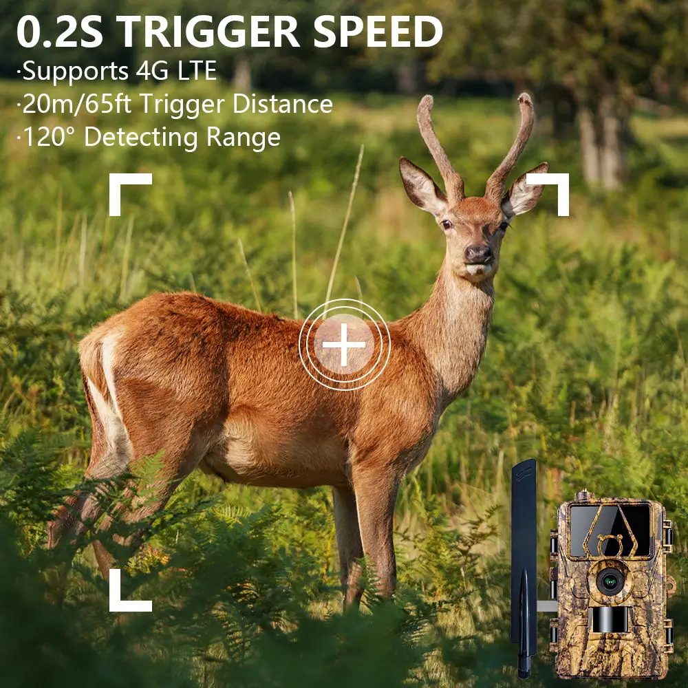 Cámara infrarroja HD8K para vi - Outdoor Hunting Camera Wifi reseña y precio