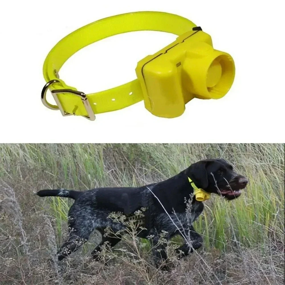 Collares con Beeper para Perro - Outdoor Hunting Dog Collar reseña y precio