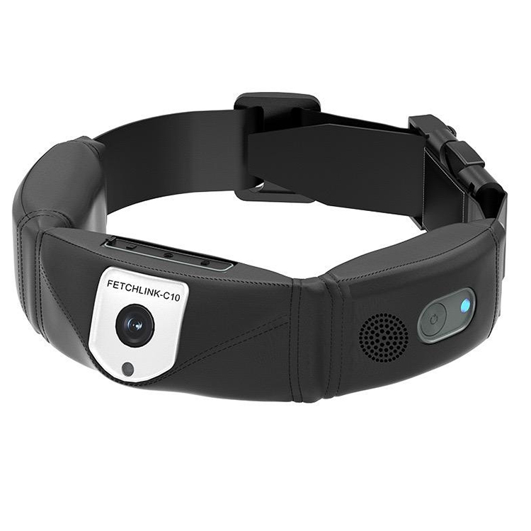 Collar con Rastreador GPS de A - Outdoor Hunting Dog Collar reseña y precio