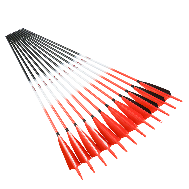 Linkboy tiro con arco flechas  - Arrow Carbon Shaft reseña y precio