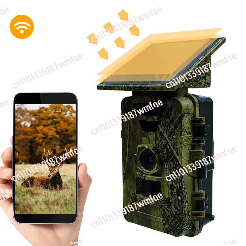 Cámara de Caza de Animales Sal - Outdoor Hunting Camera Wifi reseña y precio