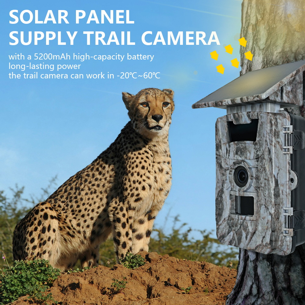 Cámara de caza Solar WiFi 4K 6 - Outdoor Hunting Camera Wifi reseña y precio