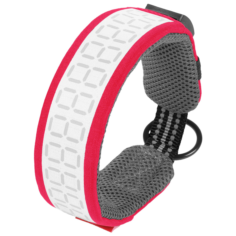 Collar Reflectante para Perros - Outdoor Hunting Dog Collar reseña y precio