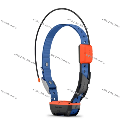 Equipo de localización para ma - Outdoor Hunting Dog Collar reseña y precio