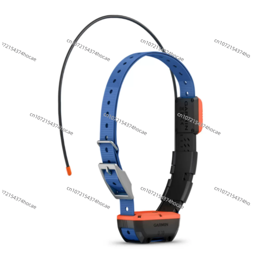 Equipo de localización para ma - Outdoor Hunting Dog Collar reseña y precio