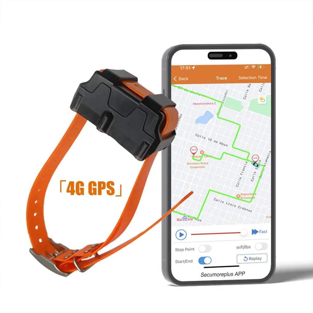 CY09A rastreador GPS portátil  - Outdoor Hunting Dog Collar reseña y precio