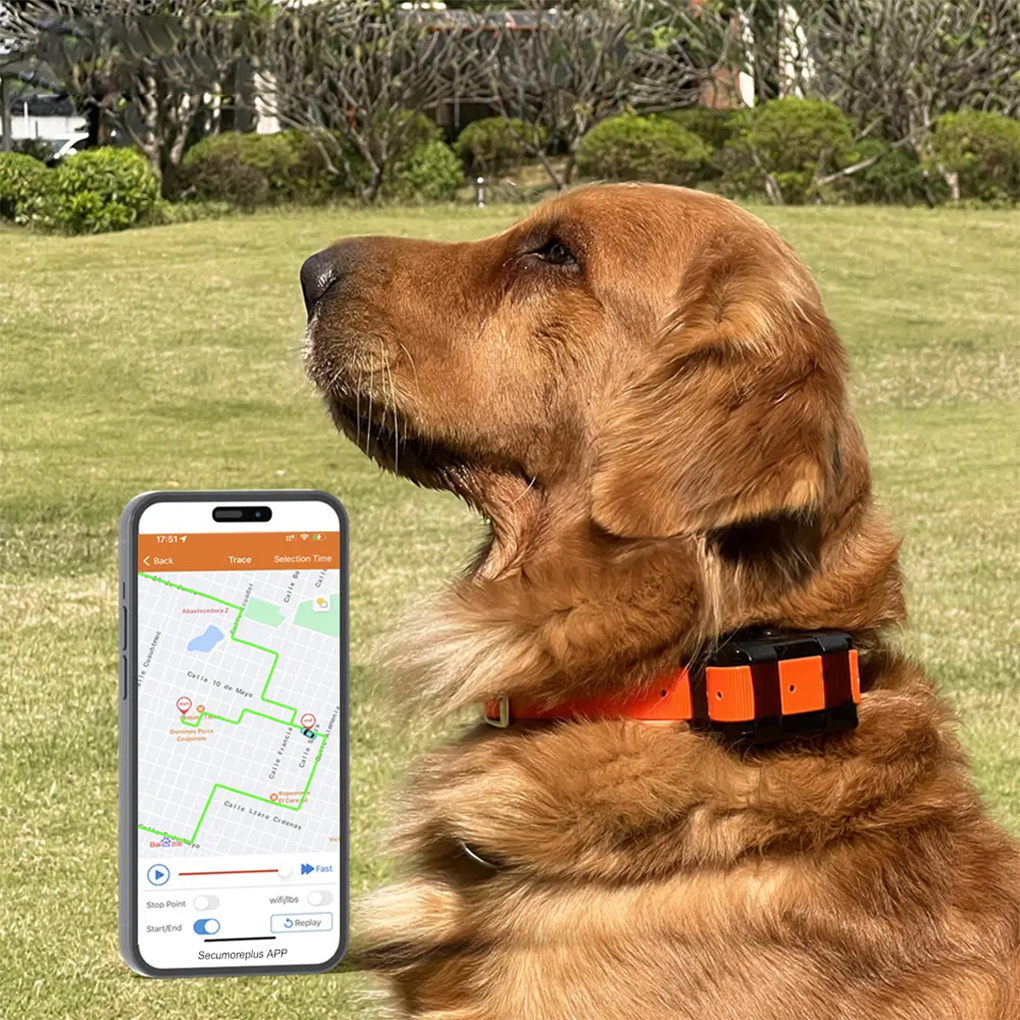 CY09A rastreador GPS portátil  - Outdoor Hunting Dog Collar reseña y precio