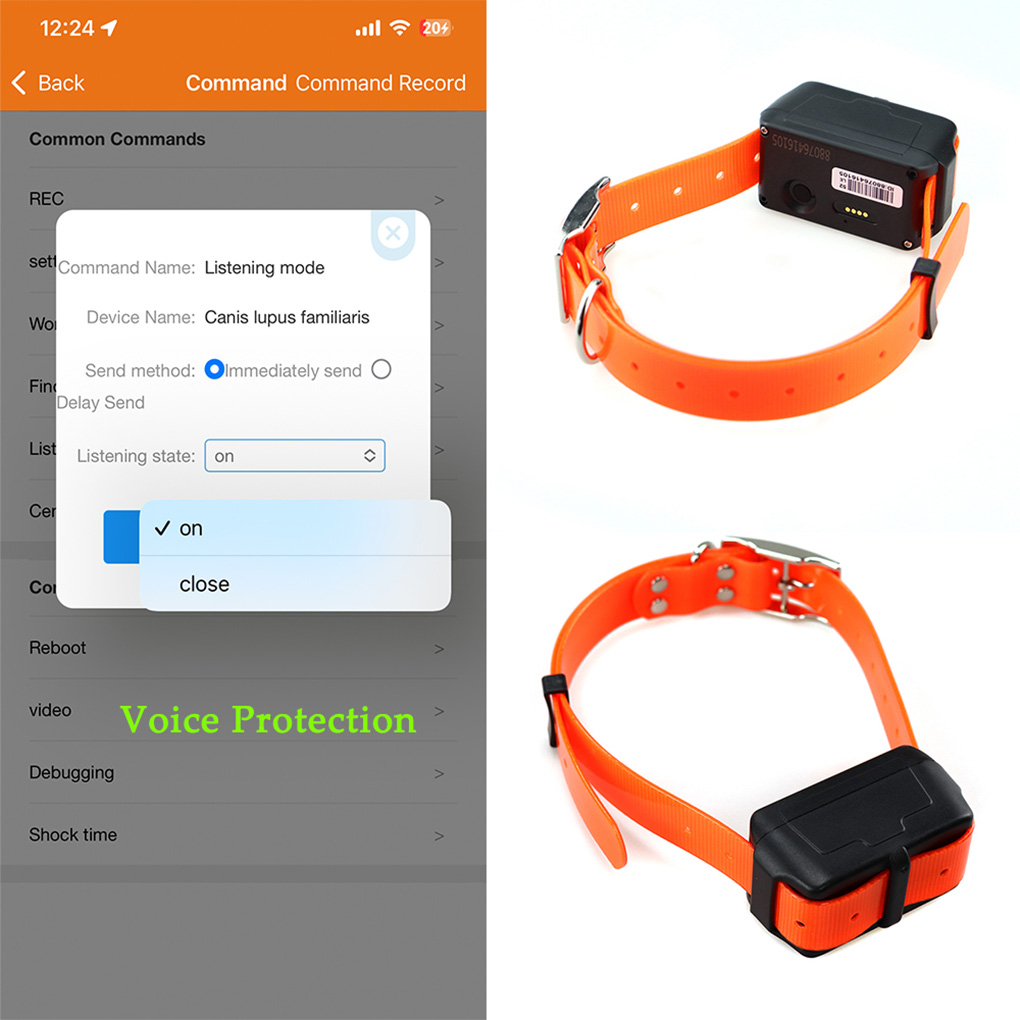 CY09A rastreador GPS portátil  - Outdoor Hunting Dog Collar reseña y precio