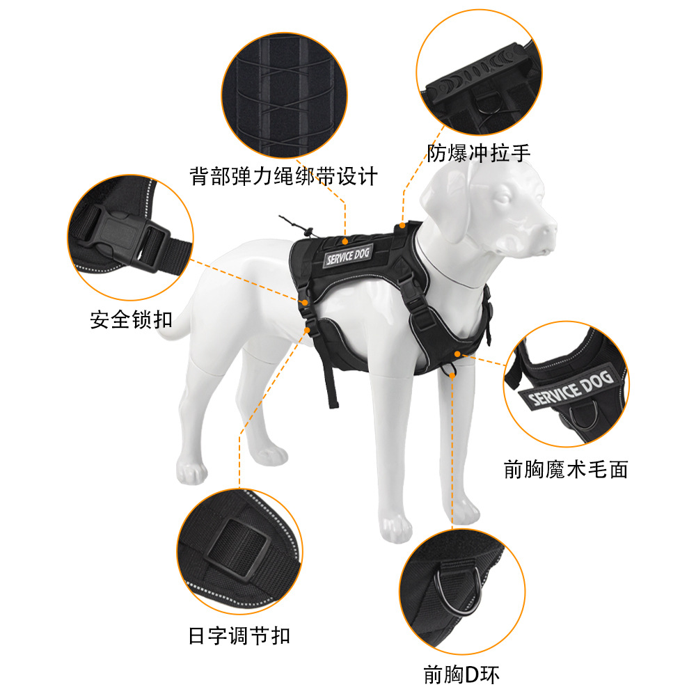 Arnés táctico para perros medi - Outdoor Hunting Dog Collar reseña y precio