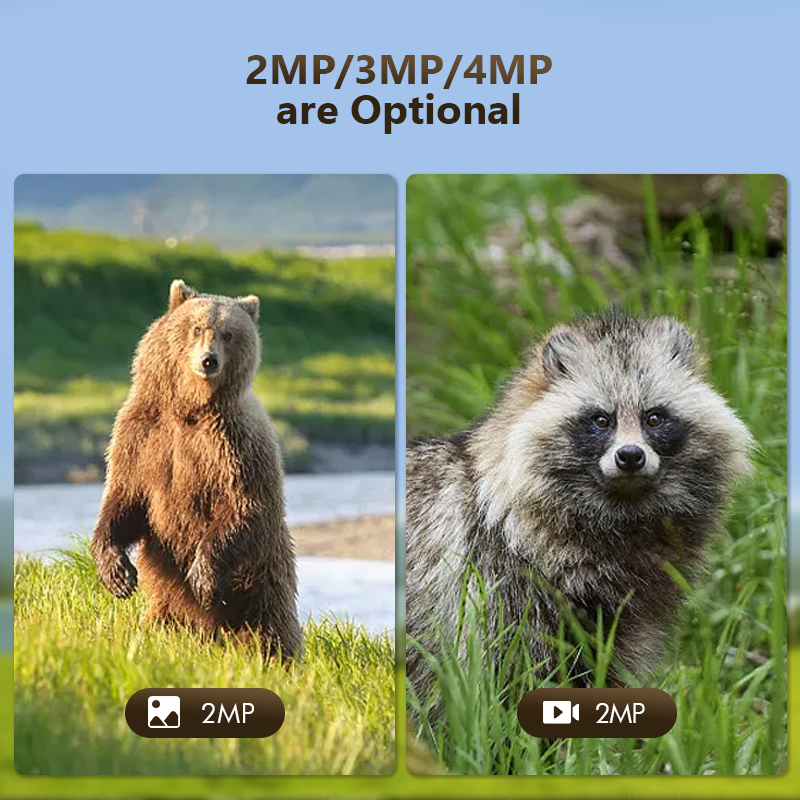 Cámara de juego de rastreo de  - Outdoor Hunting Camera Wifi reseña y precio