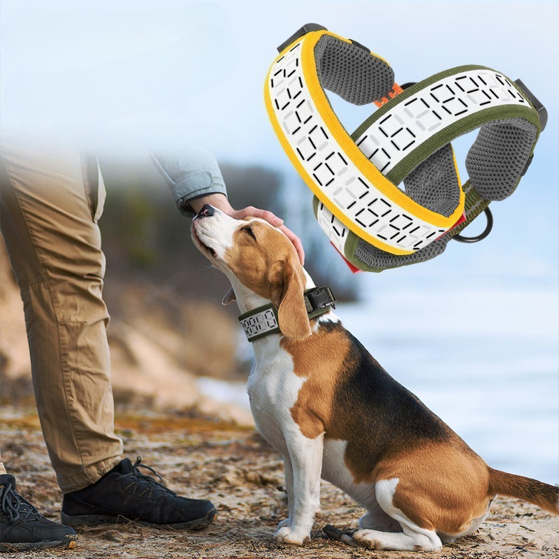 Collar Reflectante para Perros - Outdoor Hunting Dog Collar reseña y precio