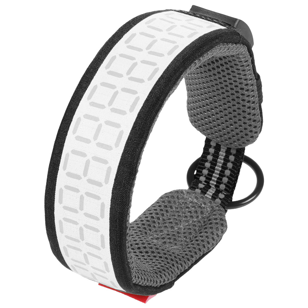 Collar Reflectante para Perros - Outdoor Hunting Dog Collar reseña y precio