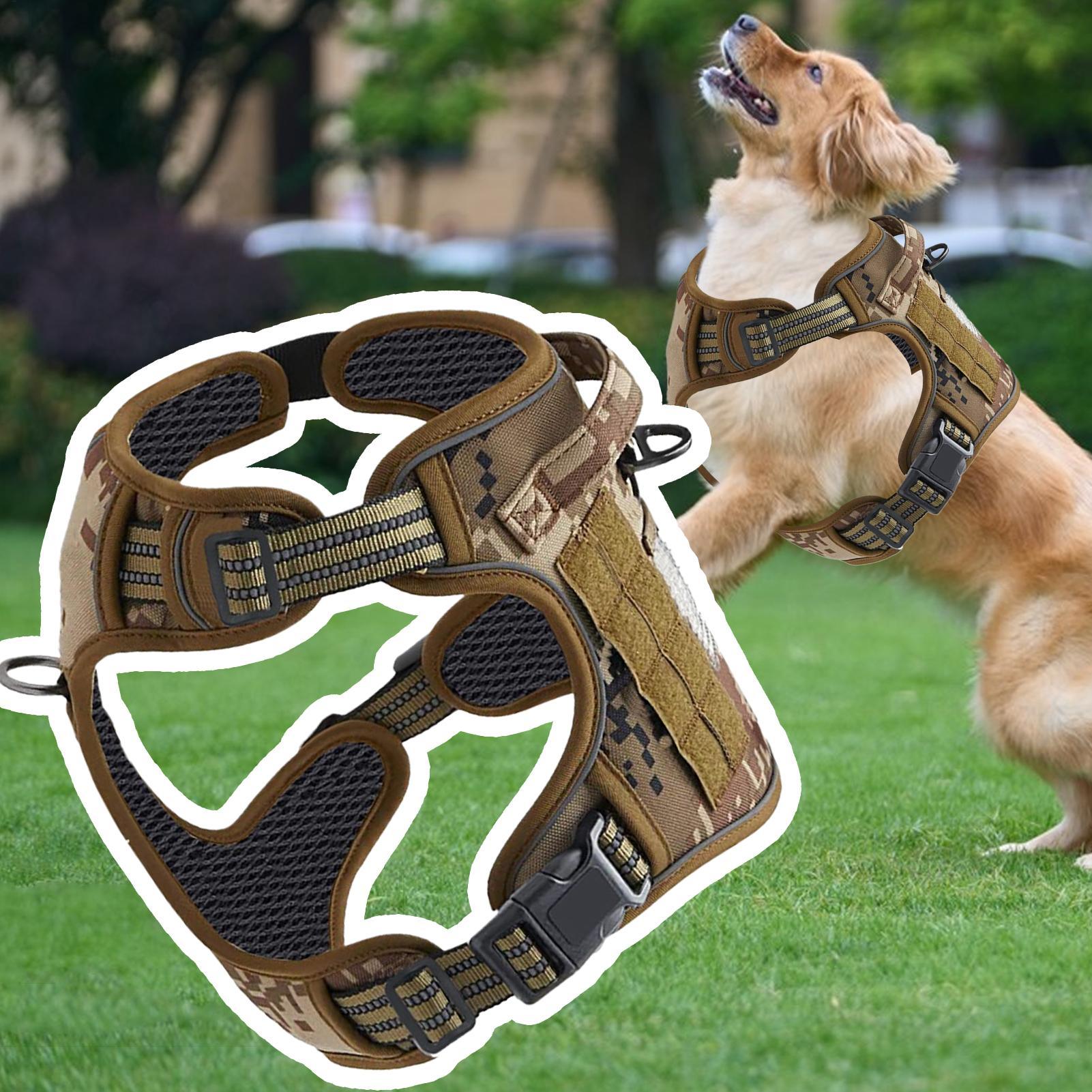 Arnés para perros de alta resi - Outdoor Hunting Dog Collar reseña y precio