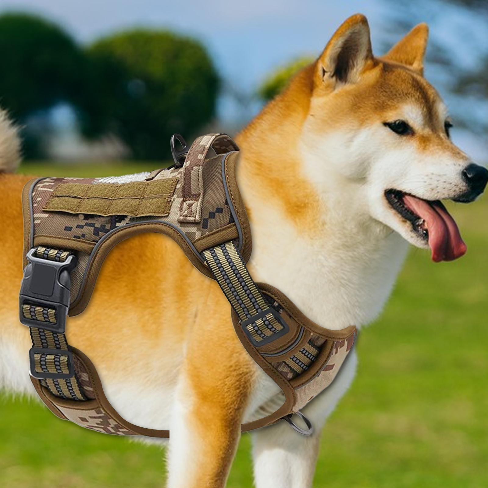 Arnés para perros de alta resi - Outdoor Hunting Dog Collar reseña y precio