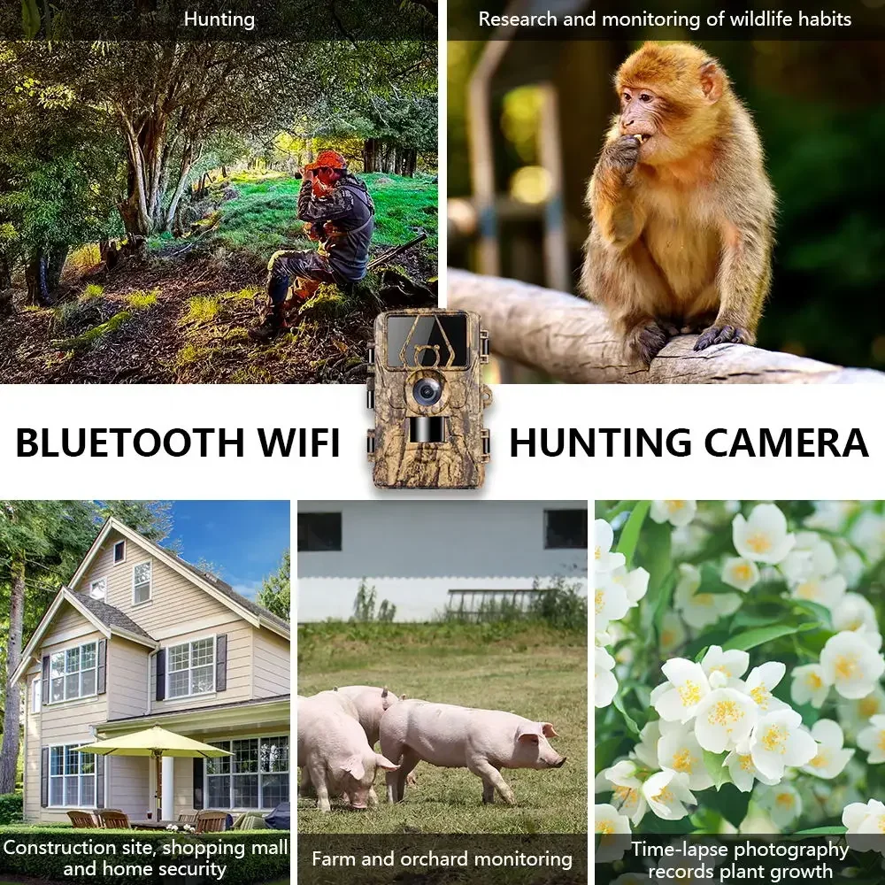 Cámara de Caza Digital PR801W  - Outdoor Hunting Camera Wifi reseña y precio