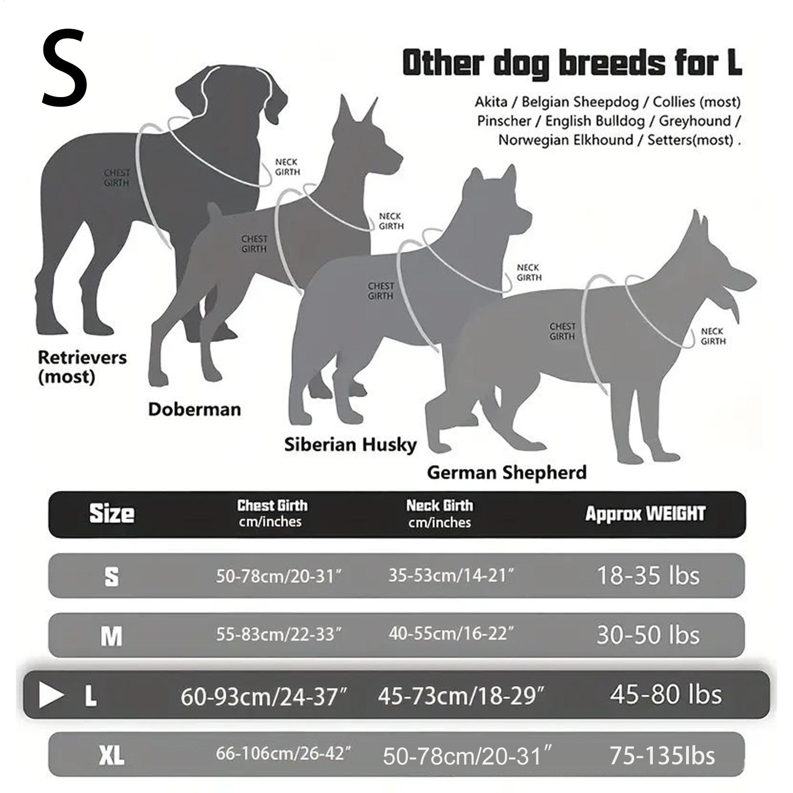Arnés para perros con hebilla  - Outdoor Hunting Dog Collar reseña y precio
