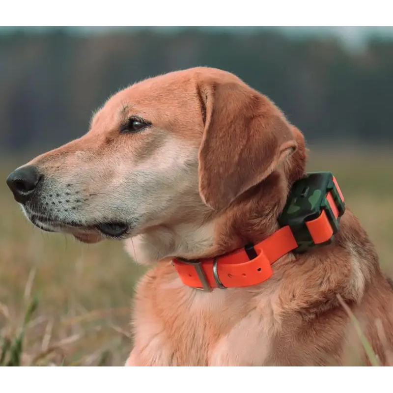 ICAR IK122M 2000mah Collar con - Outdoor Hunting Dog Collar reseña y precio