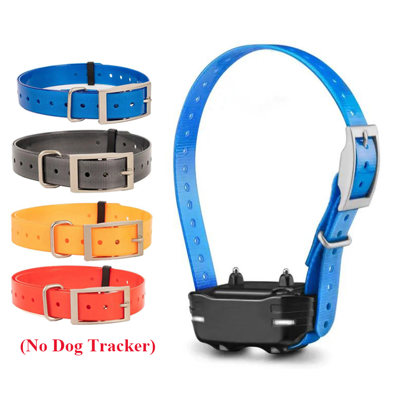 Collar de seguridad para masco - Outdoor Hunting Dog Collar reseña y precio