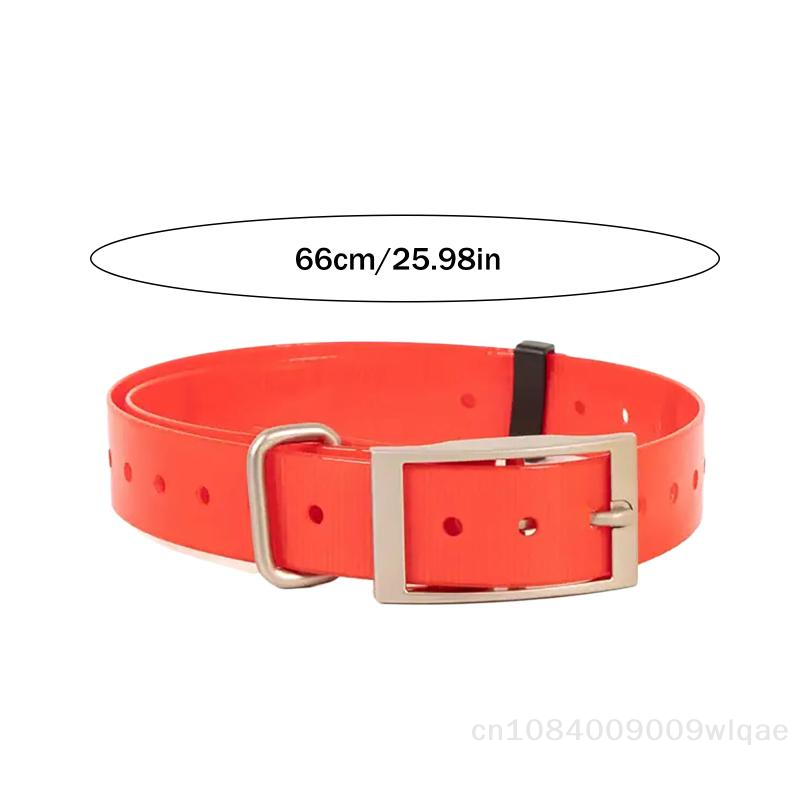 Collar de seguridad para masco - Outdoor Hunting Dog Collar reseña y precio