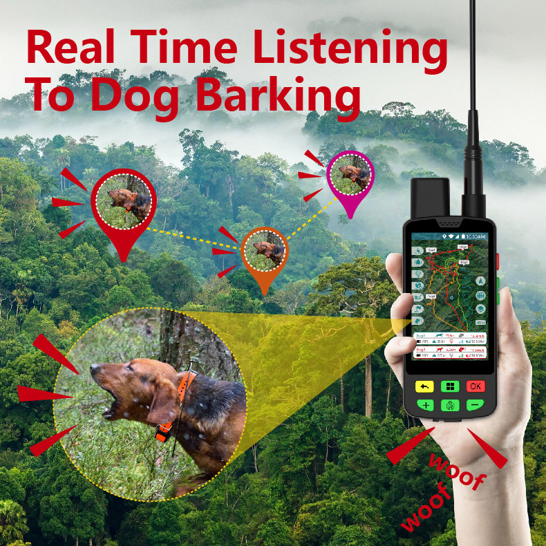Collar GPS 4G para Perros al p - Outdoor Hunting Dog Collar reseña y precio
