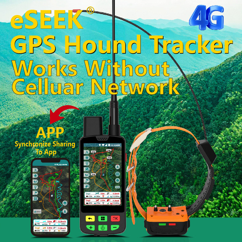 Collar GPS 4G para Perros al p - Outdoor Hunting Dog Collar reseña y precio