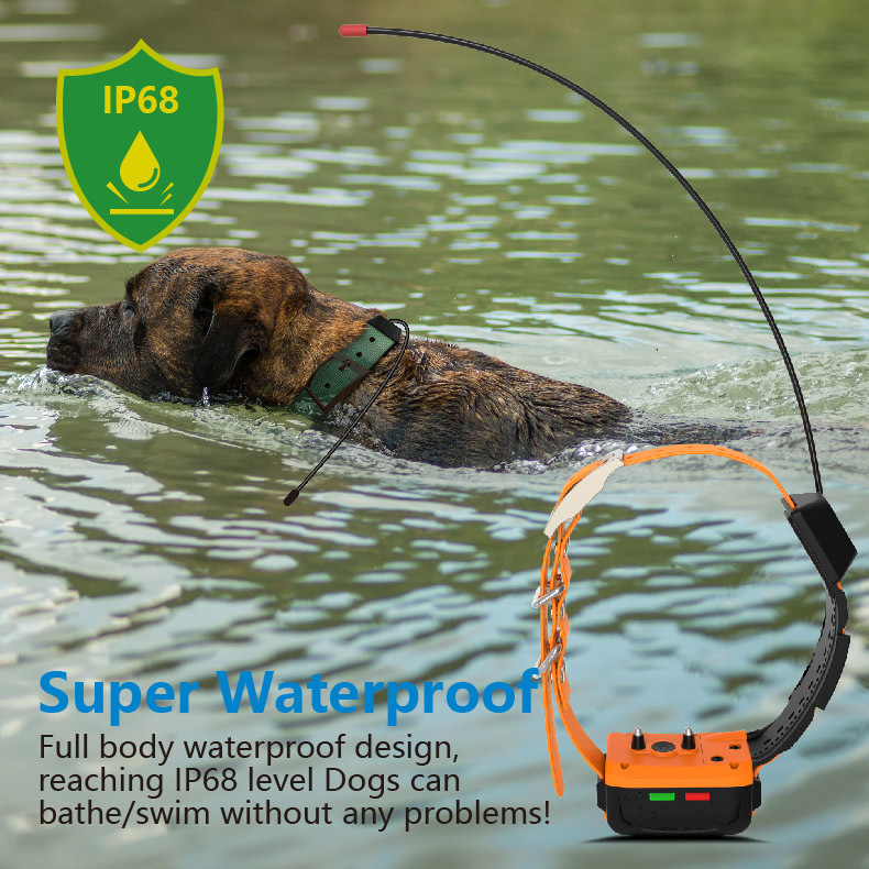 Collar GPS 4G para Perros al p - Outdoor Hunting Dog Collar reseña y precio