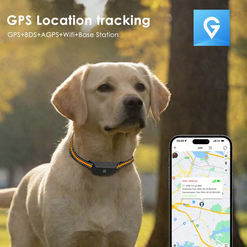 Rastreador GPS para Perros, Di - Outdoor Hunting Dog Collar reseña y precio