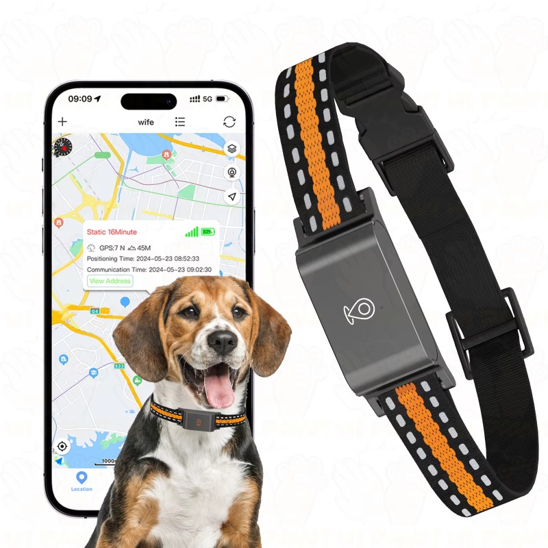 Rastreador GPS para Perros, Di - Outdoor Hunting Dog Collar reseña y precio